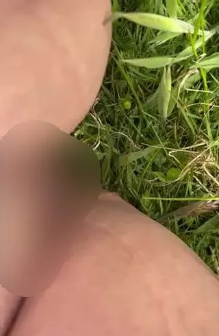 Blasse leeren auf einer Wiese