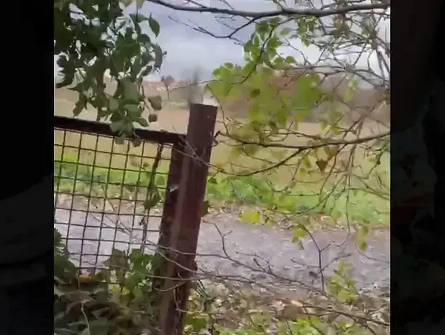 Auf verlassenes Grundstück gepisst