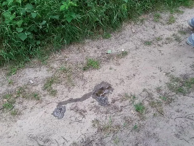 Beim Wandern auf dem Waldweg gepisst