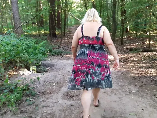 Revier makiert - Auf Baumstamm abgepisst