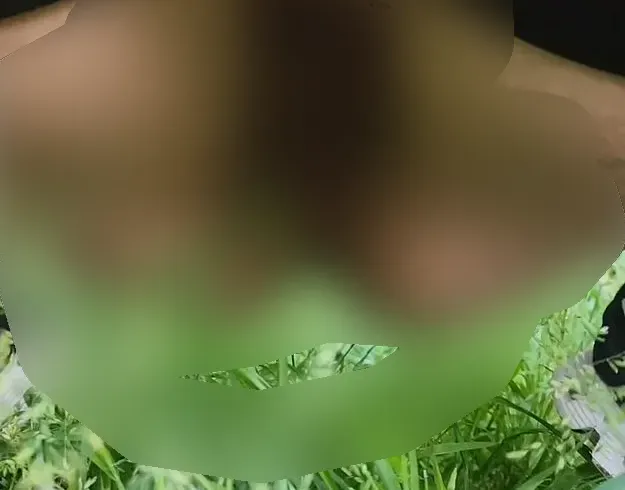 Upsi Natur(pinkeln)sekt