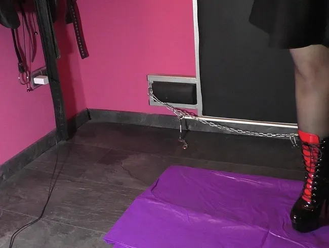 Champagner auf deinen Schwanz