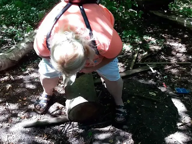 Baumstamm bepisst (kein Ton)