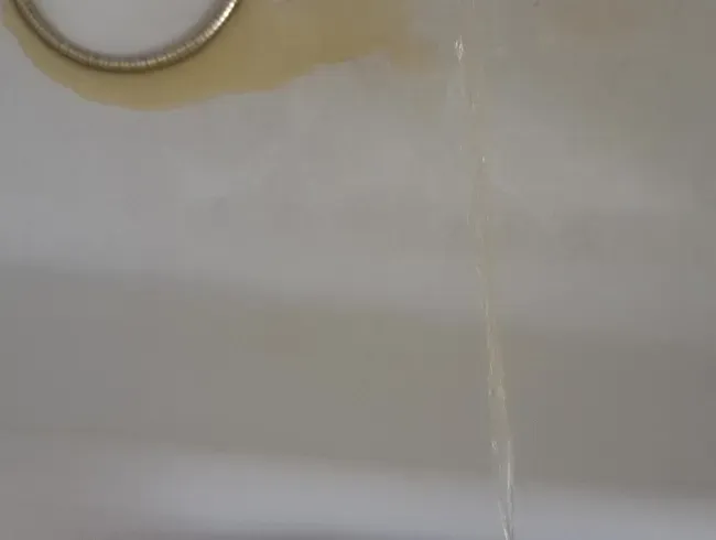 POV - Ich piss dir ins Maul