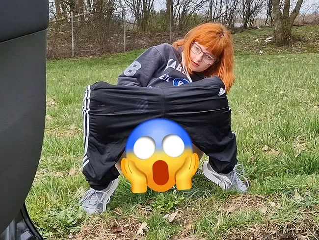 Revier markiert an der Autobahn?!