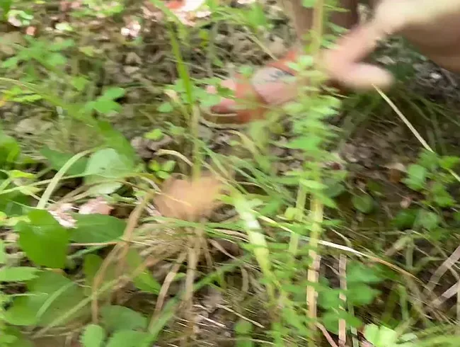 Ich pisse in die Natur