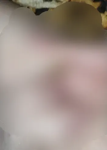 Einfach Mal alles laufen lassen????