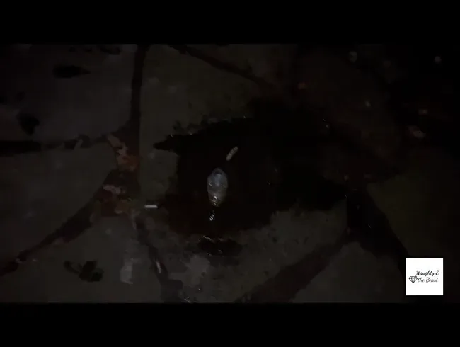 Asozial im Stadtpark in die Flasche gepisst und stehen lassen