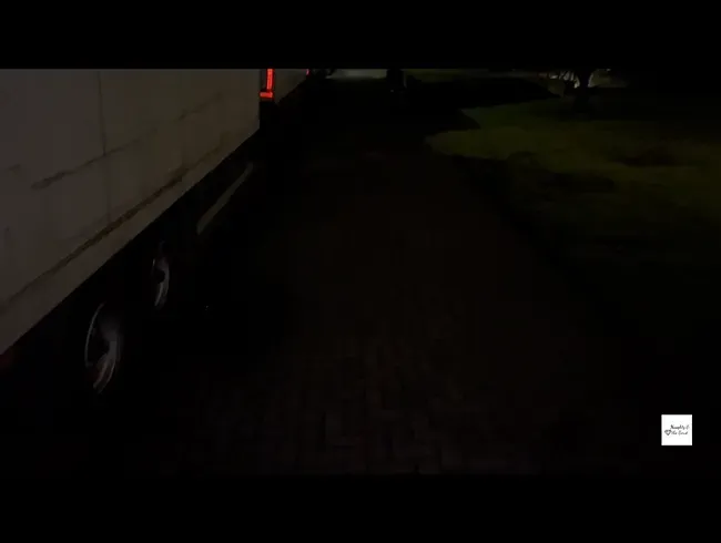 Hinter LKW auf Gehweg gepisst