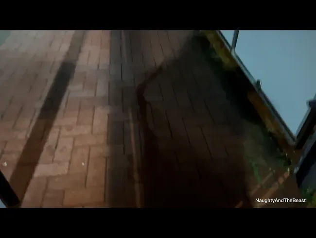 Piss im Bushäuschen - publicpiss