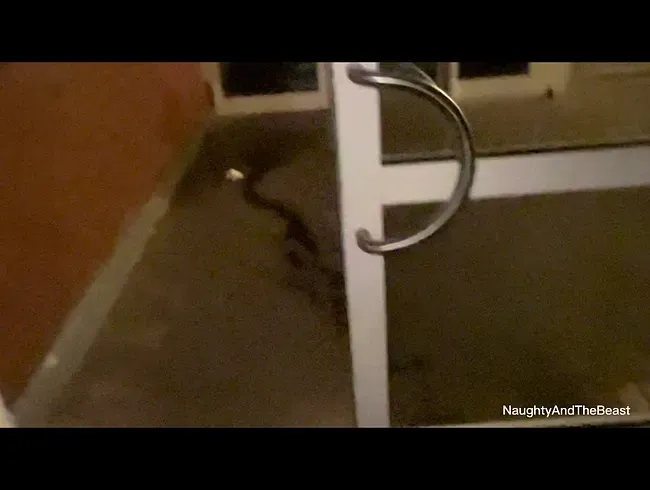 Publicpiss: Pech, wer nicht abschließt!