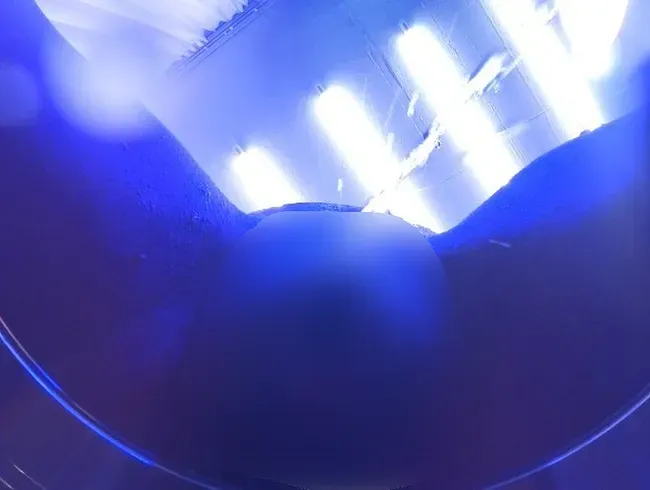 Abpissen und Schwanzlutschen