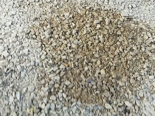 Morgendliche Entleerung on Tour