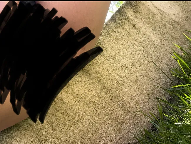 Von der mauer gepisst