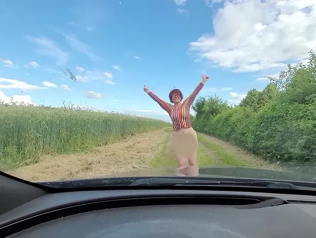 Ein kunterbunter Public Fick