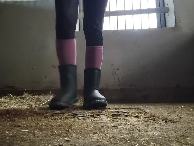 Natursekt in der Box