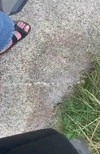 Ich liebe es wenn Sunny für mich pisst (87)