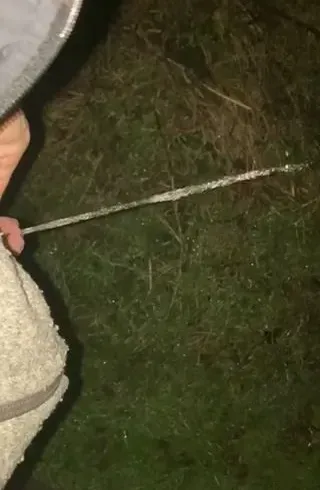 Mit Druck auf die Wiese gepisst