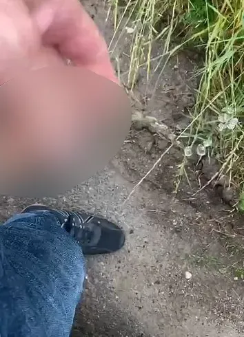 Wenn bei Sunny auf dem Weg zu Ruby der Druck zu groß wird ...