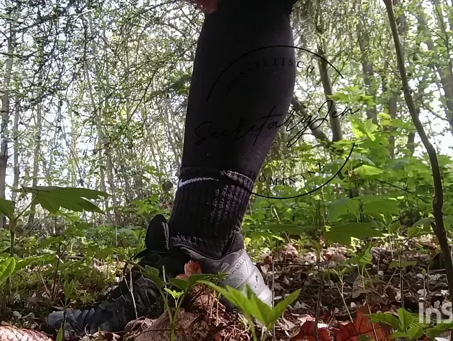 Pinkeln im Wald - Beim Wandern hinter den Busch gehockt