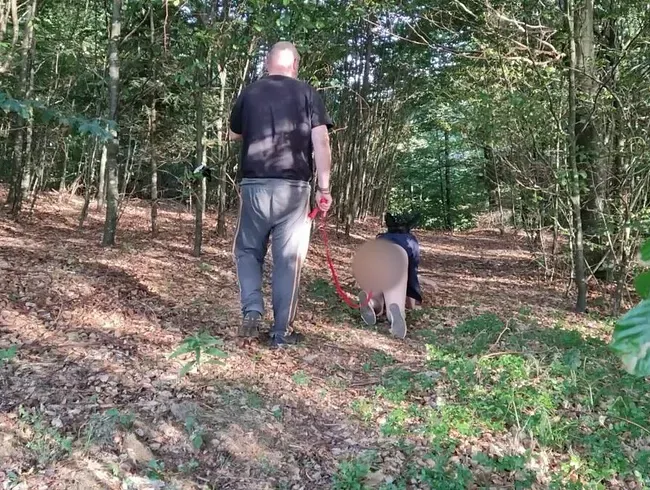 Die beste verdammte Zusammenstellung