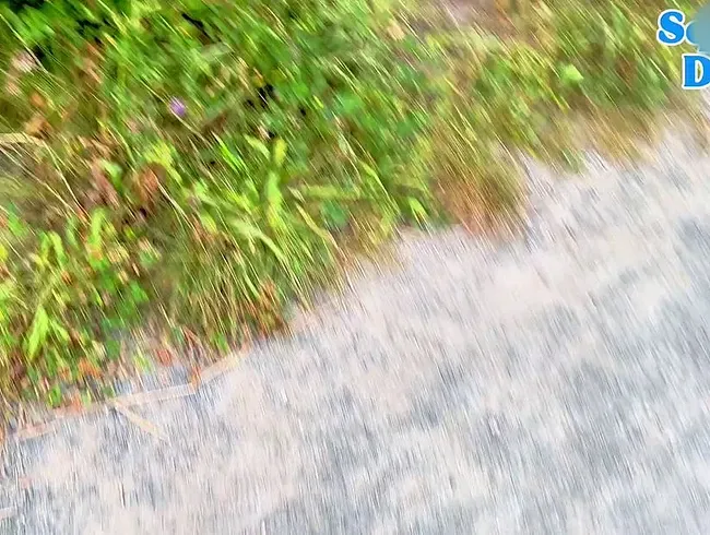 Ich konnte es nicht mehr halten und musste schnell ins Gebüsch