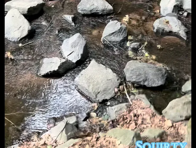 Von der Brücke gepisst