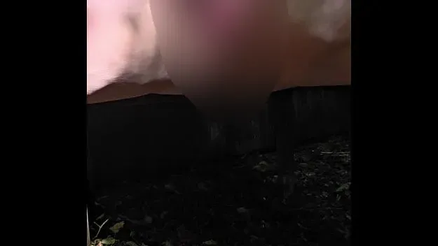 Einfach laufen lasse. :P