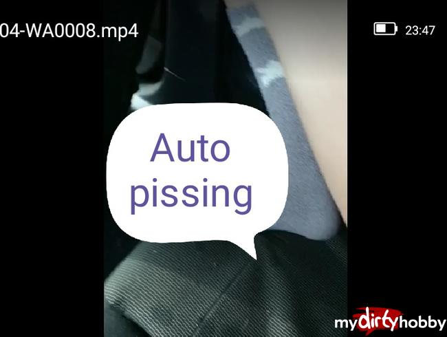 Auto pissing